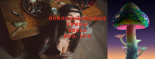 экстази Бородино