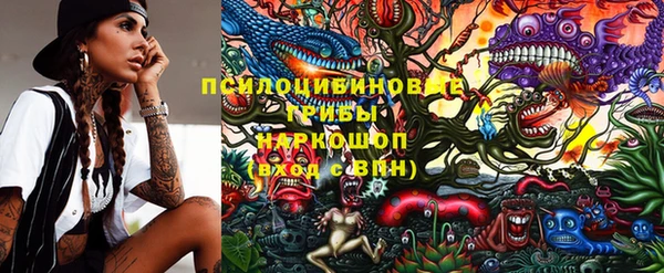 экстази Бородино