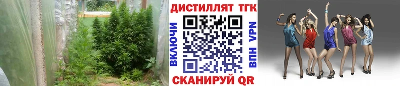 ТГК Wax  купить   Новохопёрск 