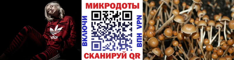 KRAKEN маркетплейс  сколько стоит  Новохопёрск  Галлюциногенные грибы мухоморы 