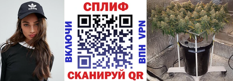 купить закладку  Новохопёрск  маркетплейс официальный сайт  Канабис марихуана 